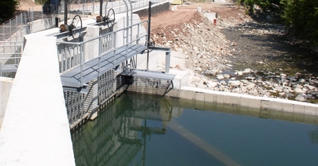 SHPP KASTANIOTIKO